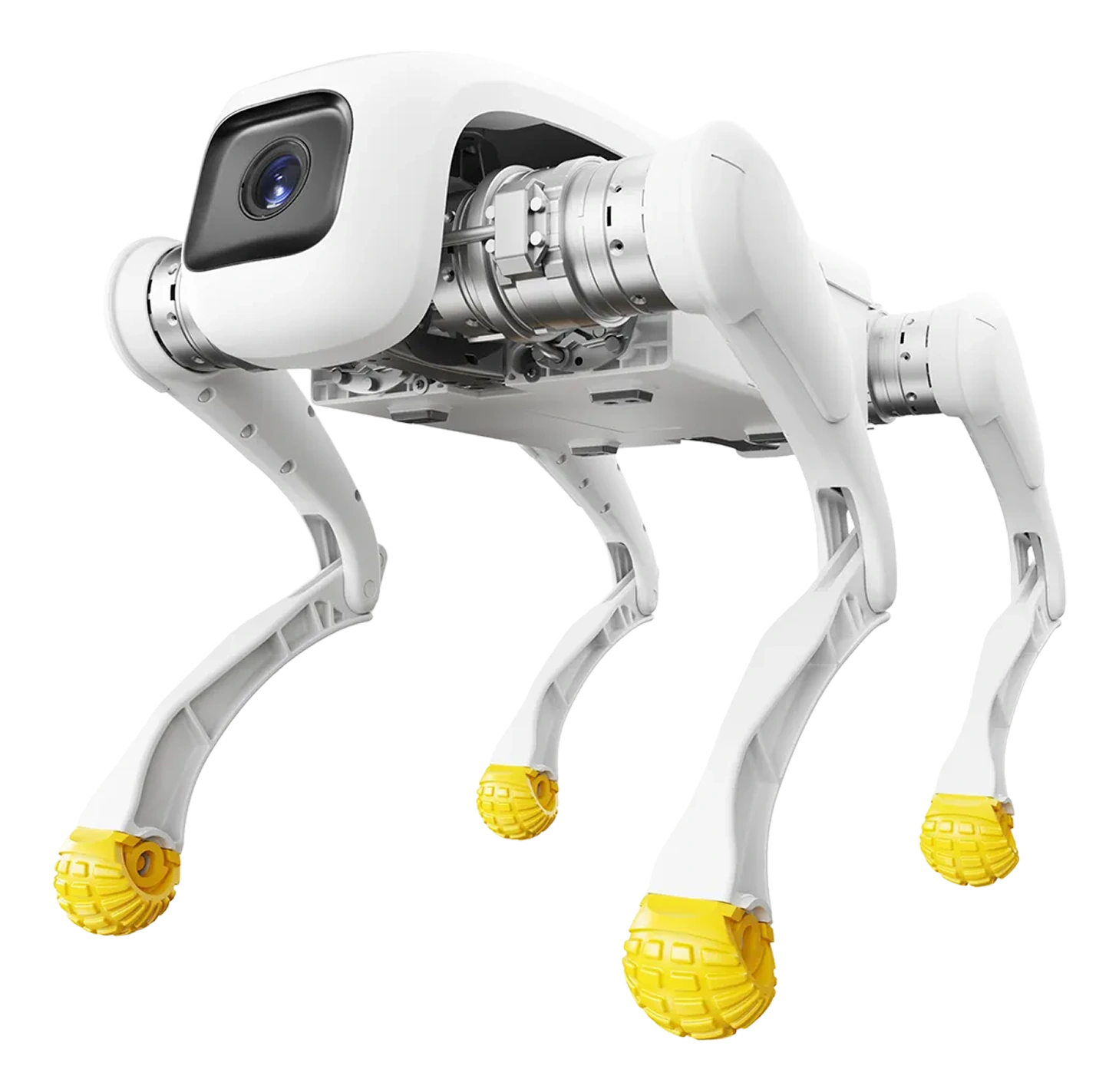 Agibot D1 EDU